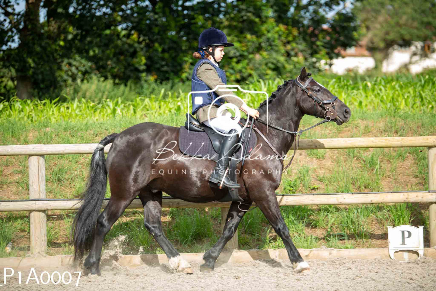 Home Farm Showing - 19th June