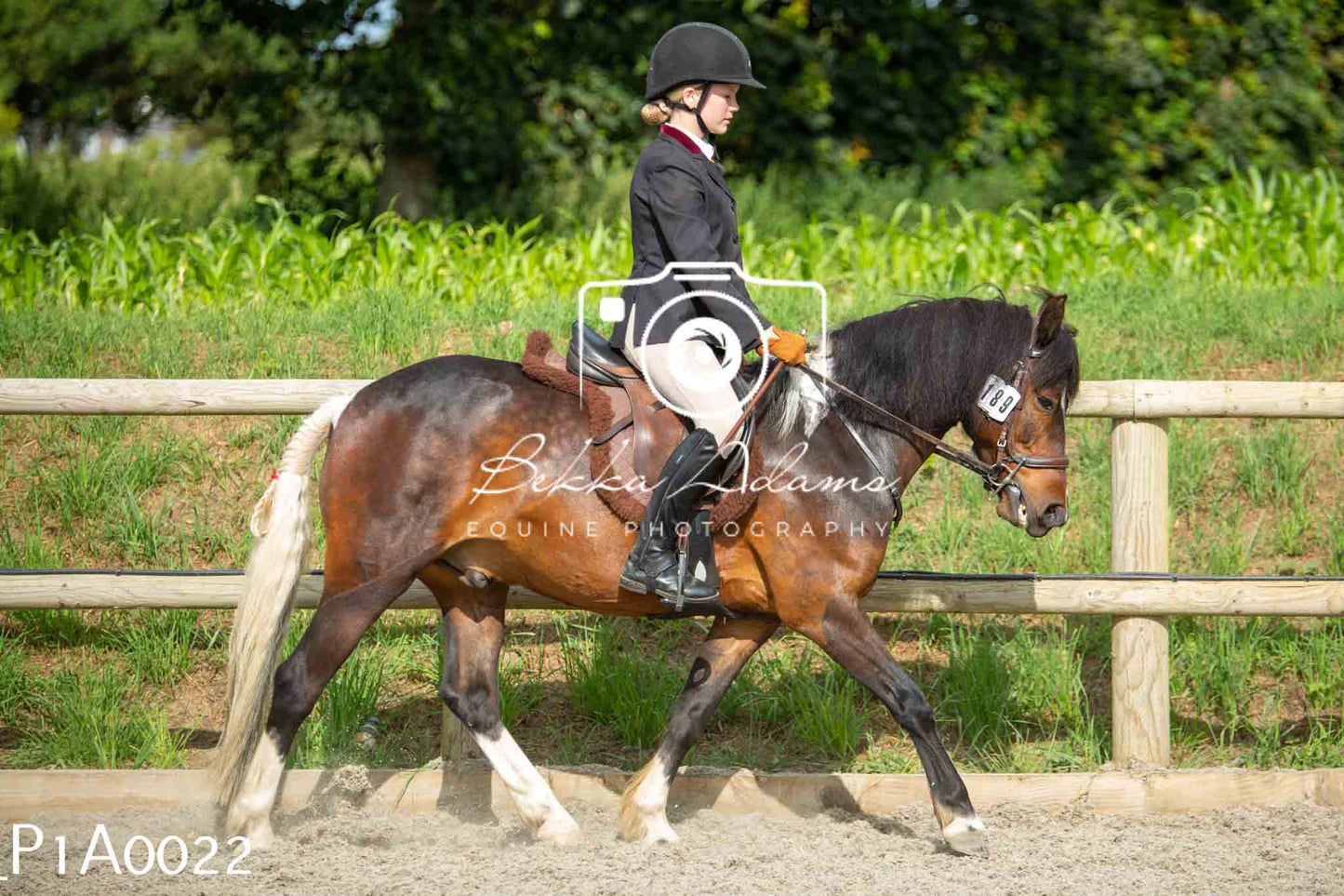 Home Farm Showing - 19th June