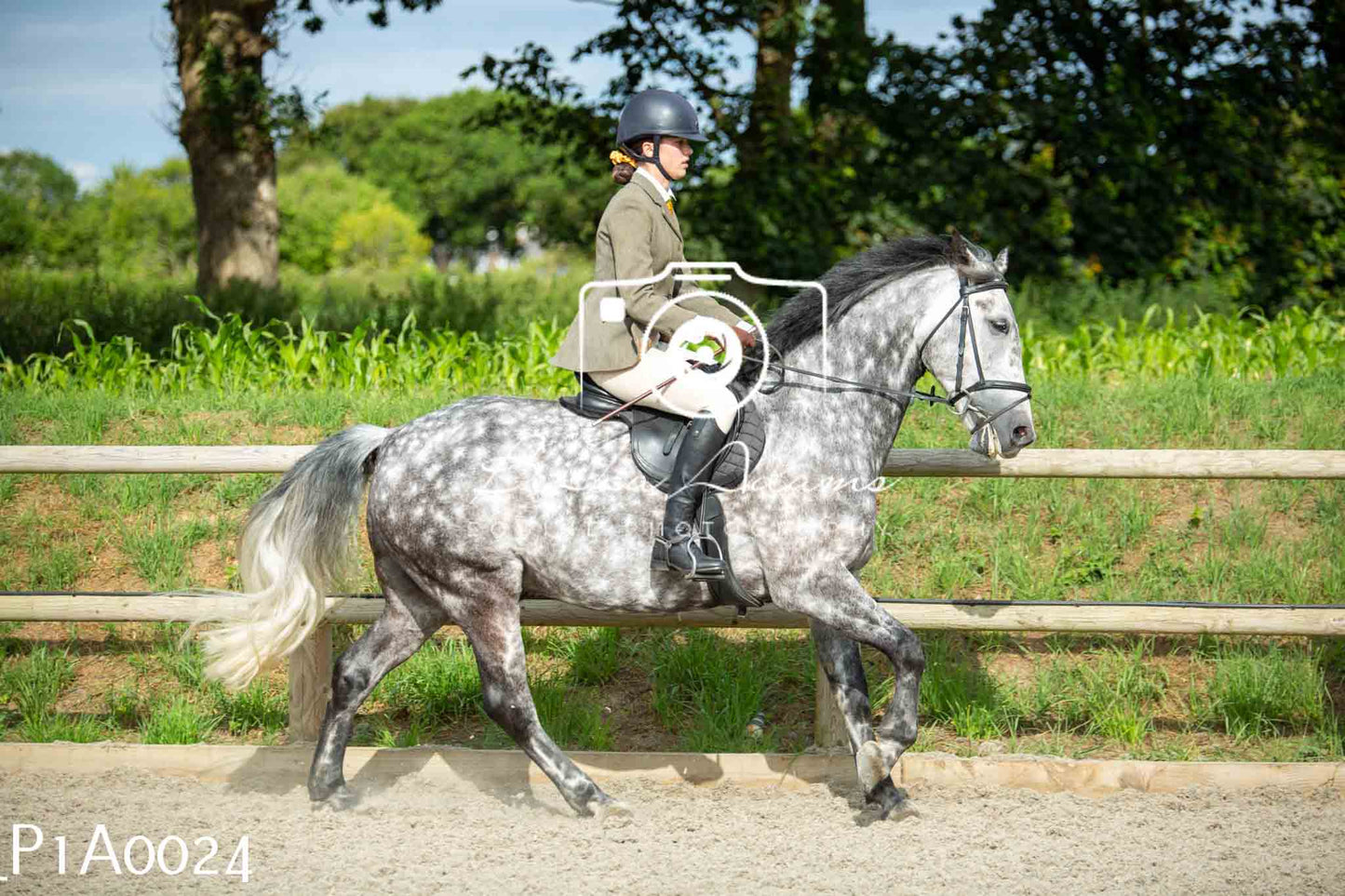 Home Farm Showing - 19th June
