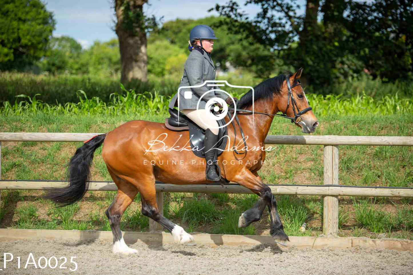 Home Farm Showing - 19th June