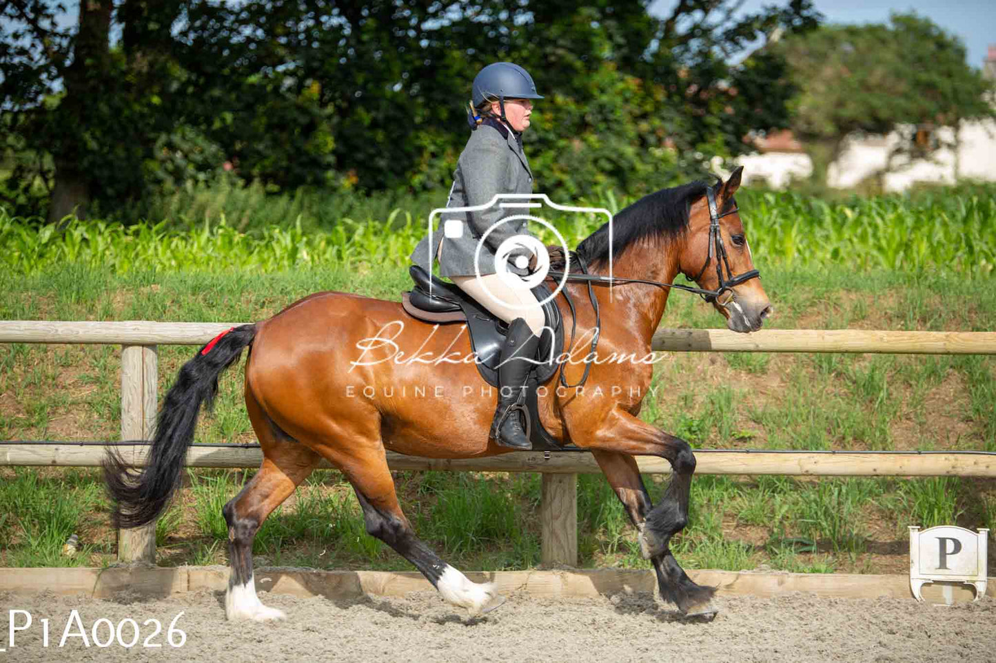 Home Farm Showing - 19th June