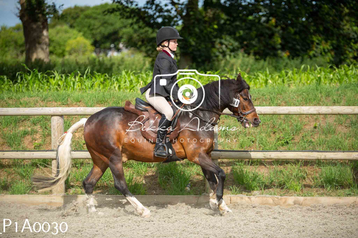 Home Farm Showing - 19th June
