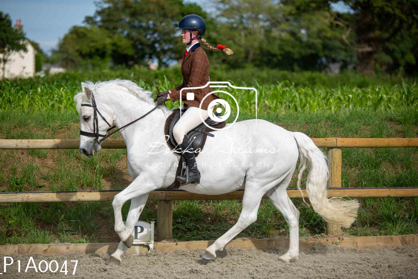 Home Farm Showing - 19th June