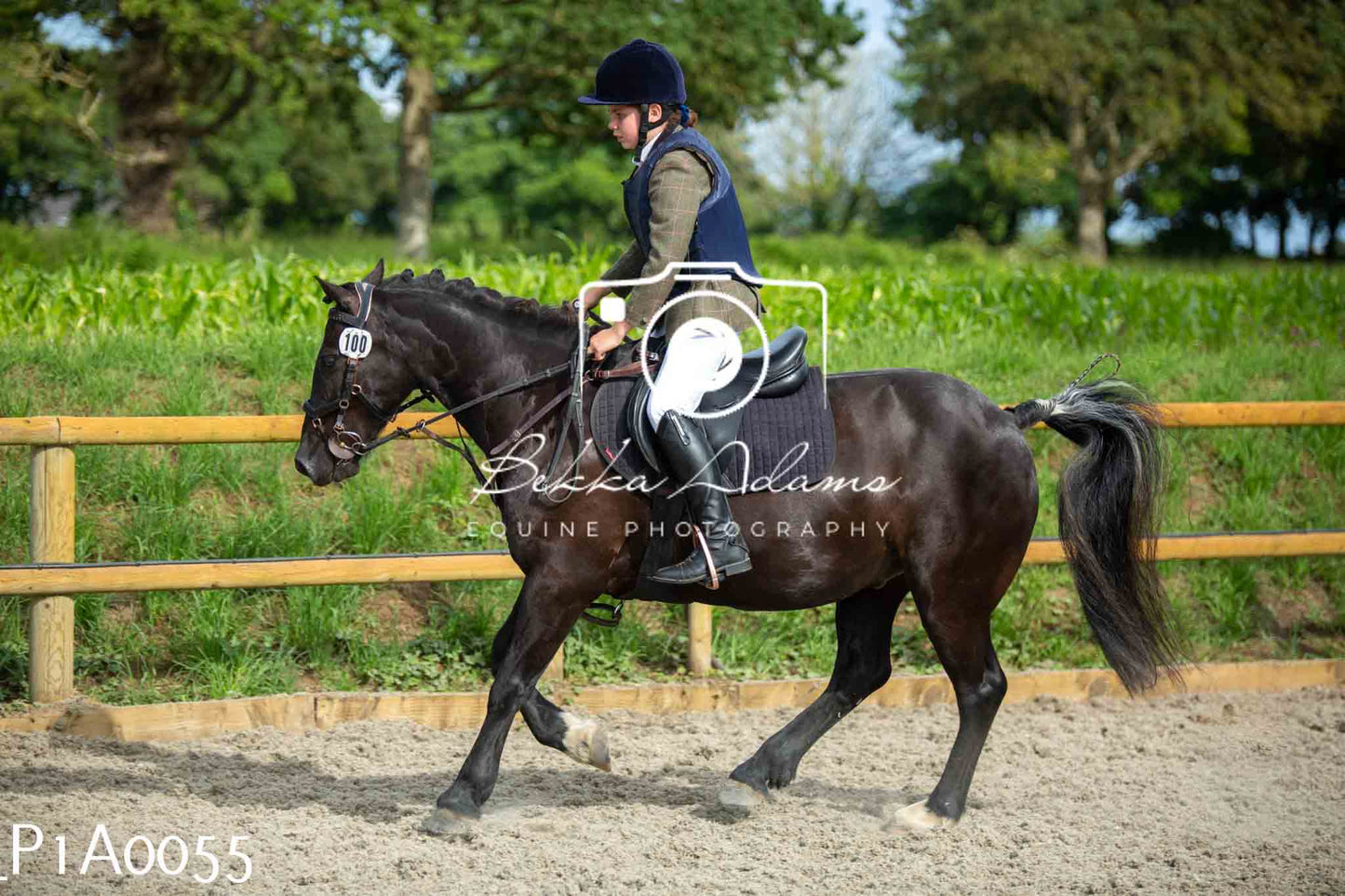 Home Farm Showing - 19th June