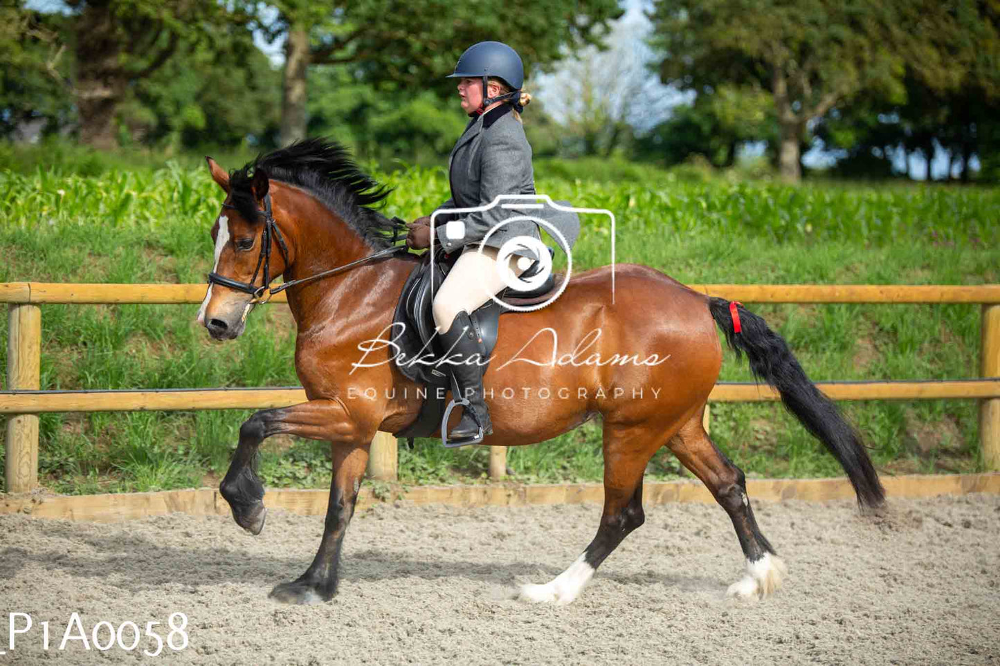 Home Farm Showing - 19th June