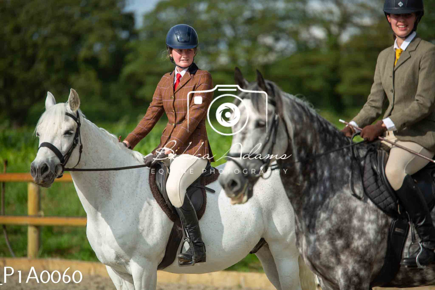 Home Farm Showing - 19th June
