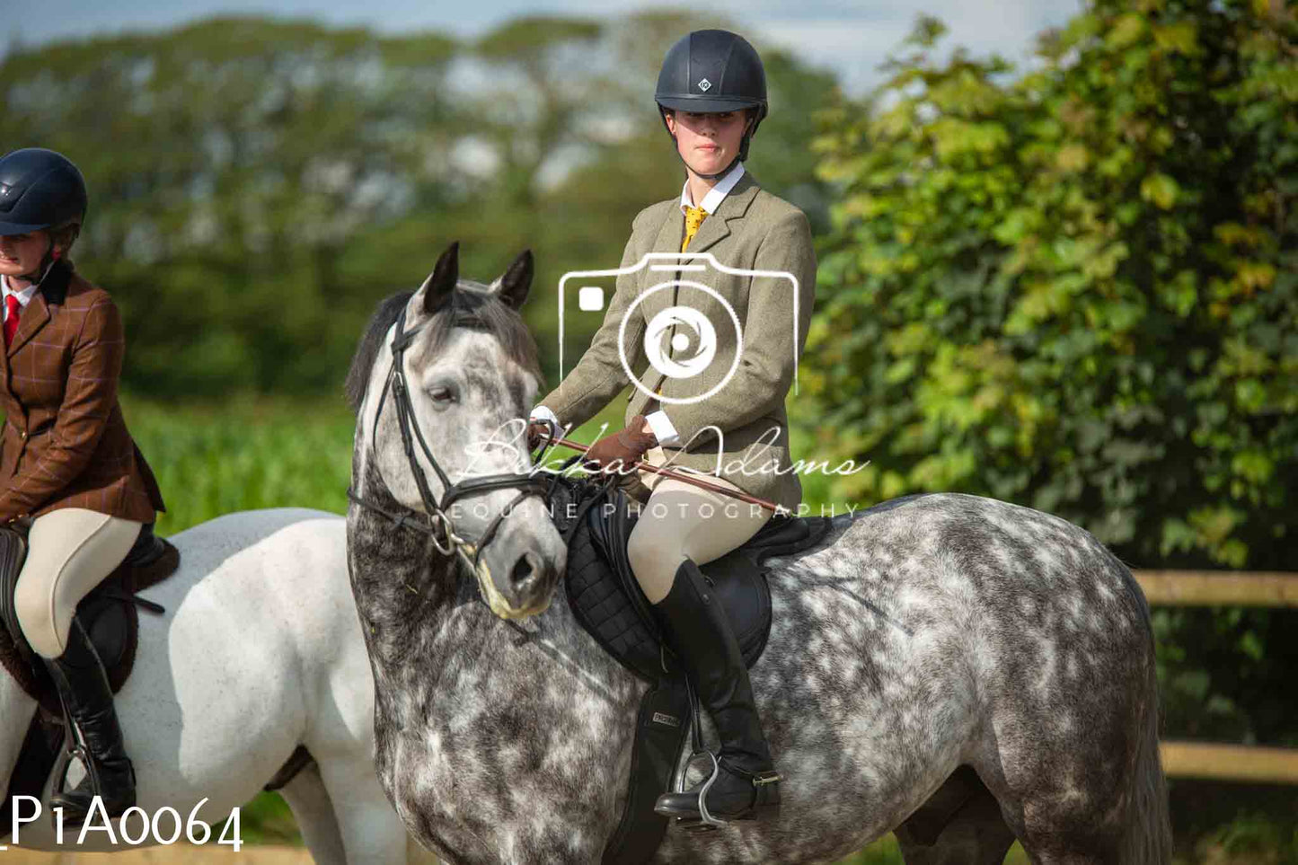 Home Farm Showing - 19th June