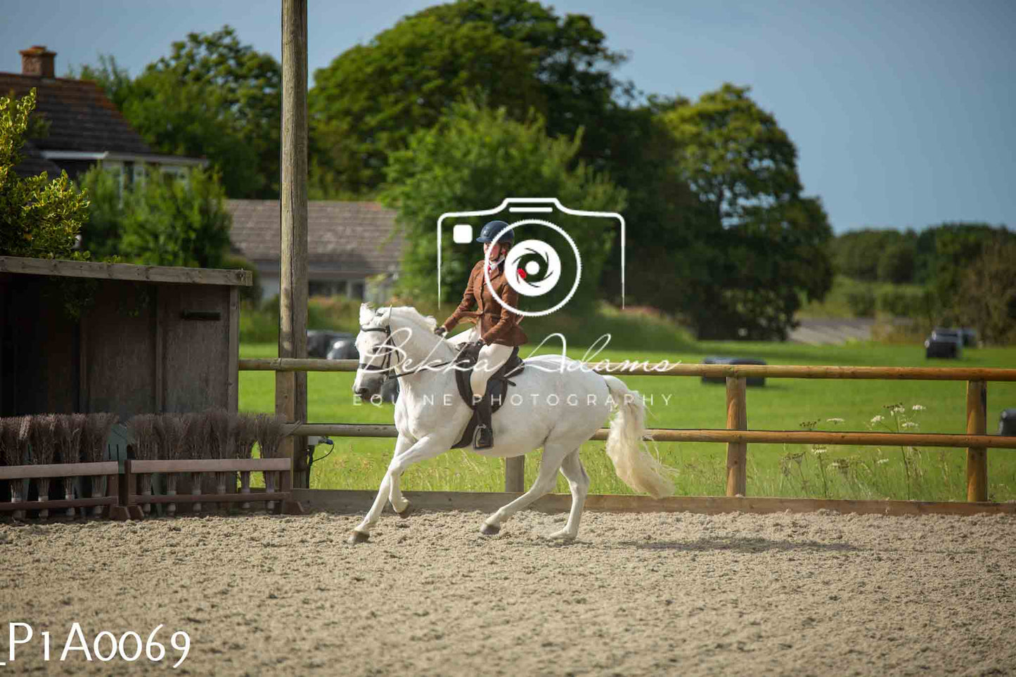 Home Farm Showing - 19th June