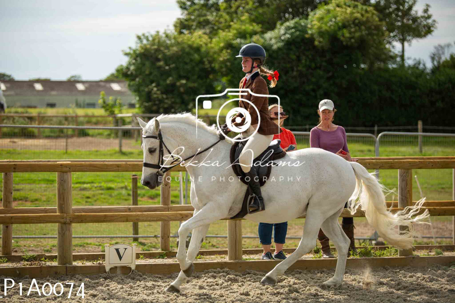 Home Farm Showing - 19th June