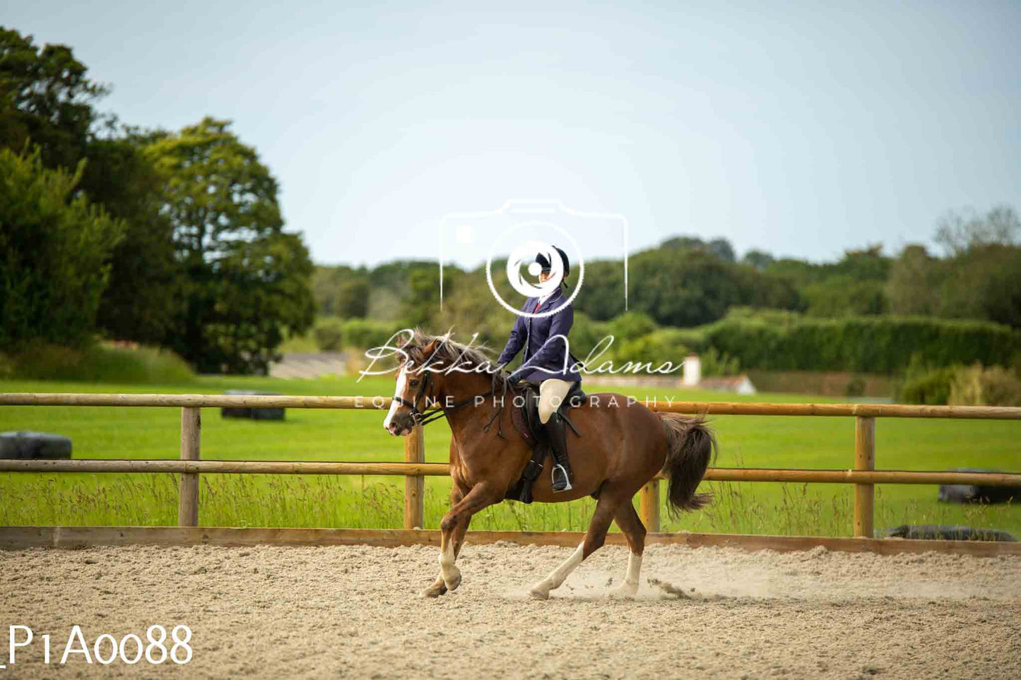 Home Farm Showing - 19th June
