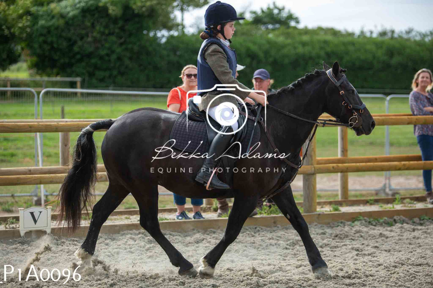 Home Farm Showing - 19th June