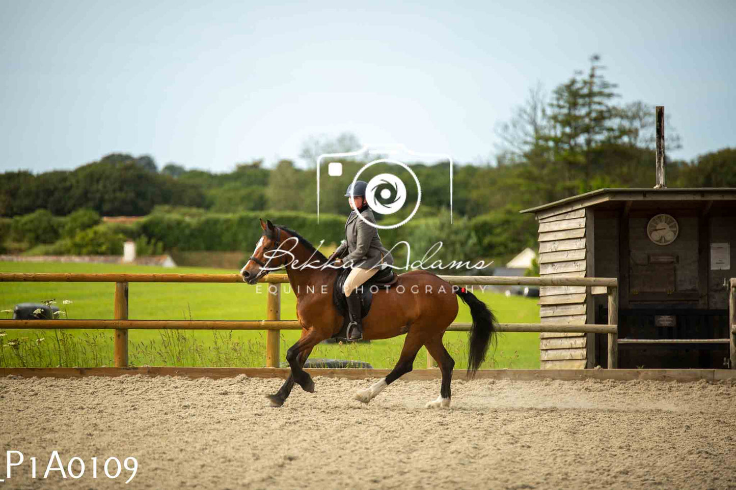 Home Farm Showing - 19th June