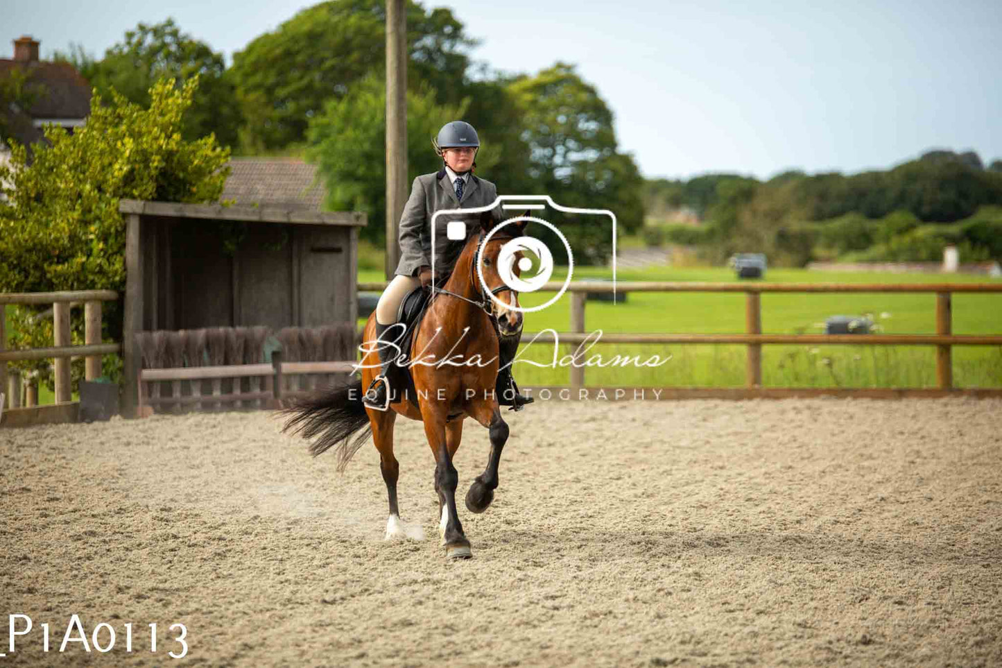Home Farm Showing - 19th June