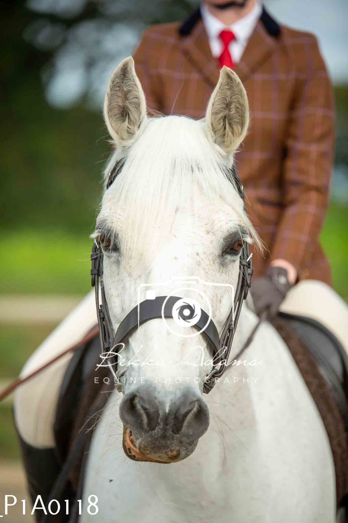 Home Farm Showing - 19th June