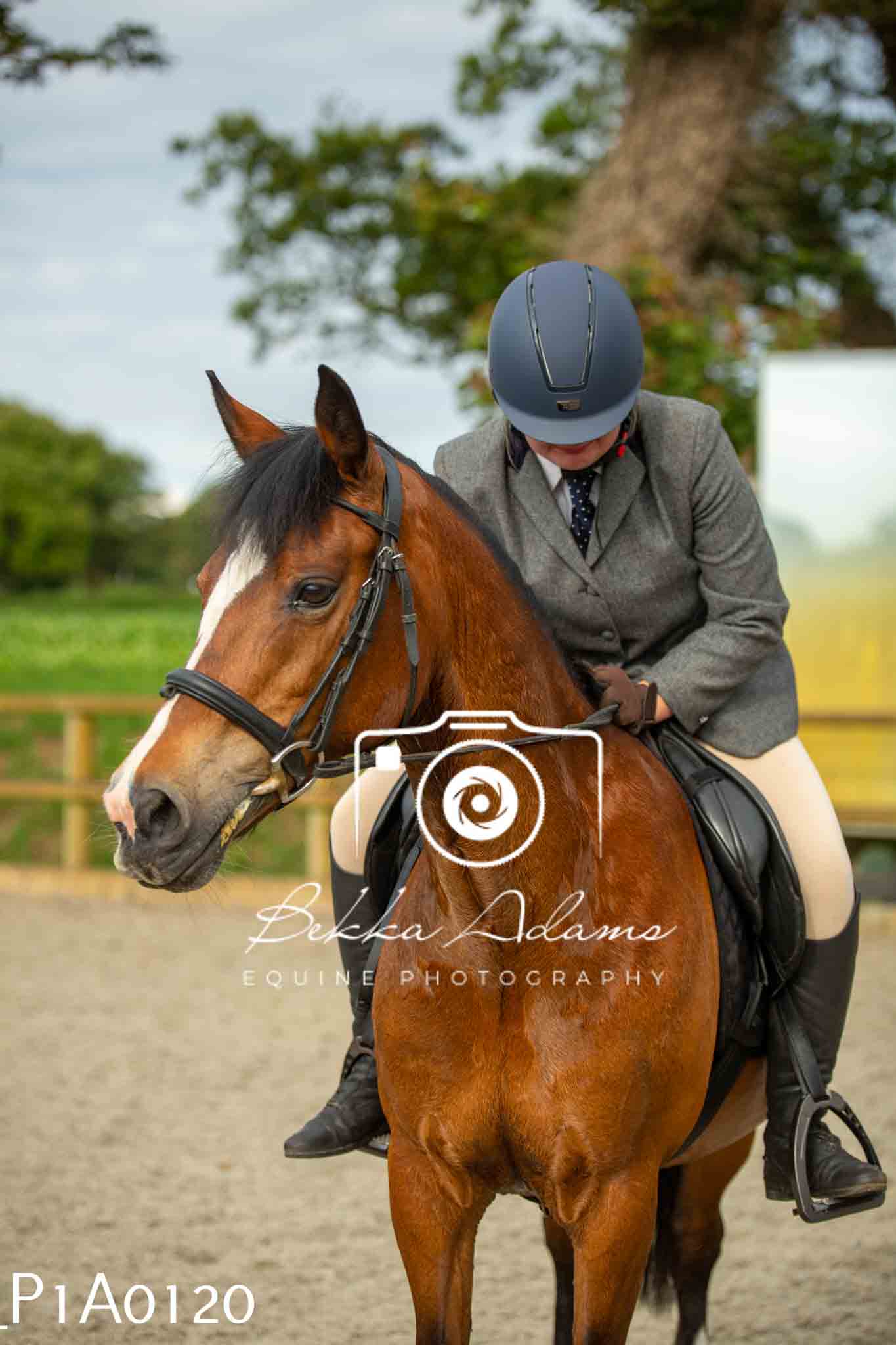 Home Farm Showing - 19th June
