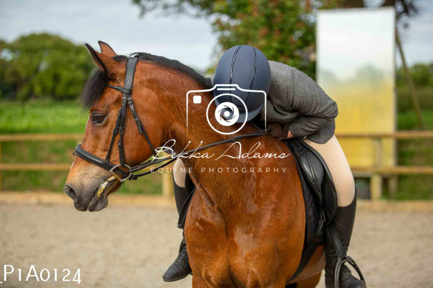 Home Farm Showing - 19th June