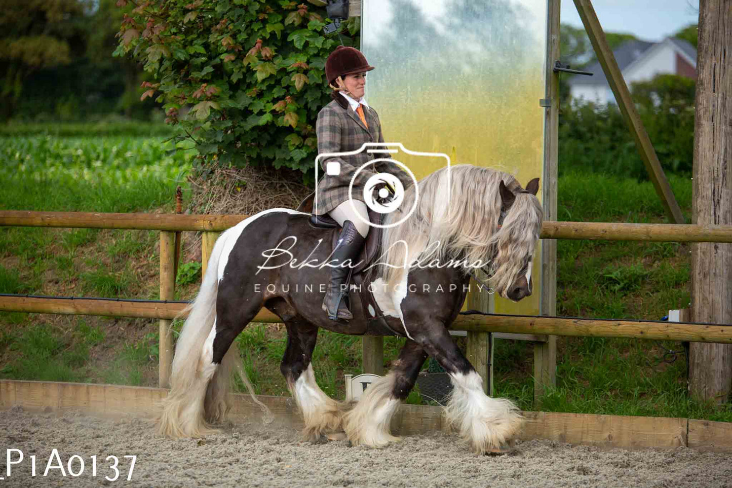 Home Farm Showing - 19th June