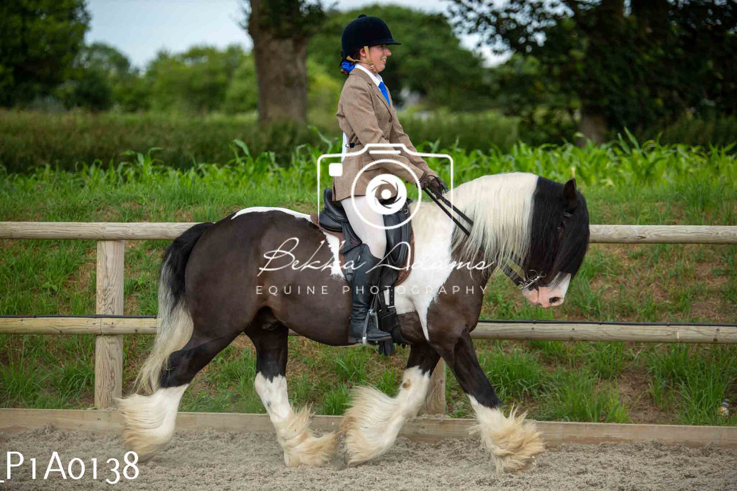 Home Farm Showing - 19th June