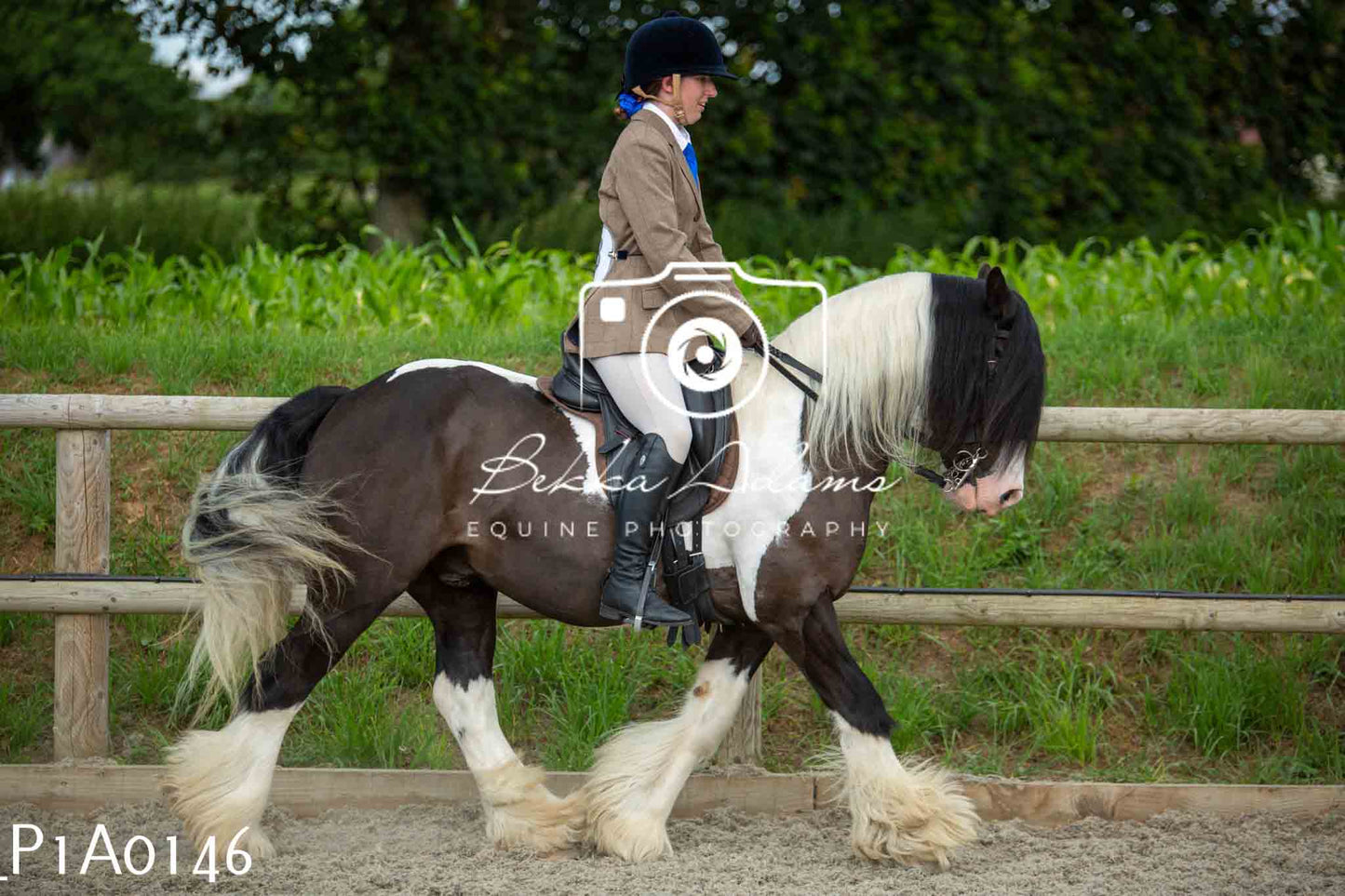 Home Farm Showing - 19th June