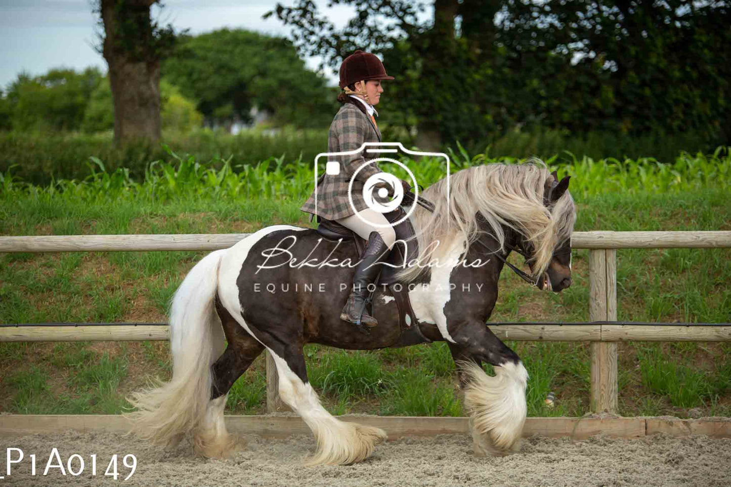 Home Farm Showing - 19th June