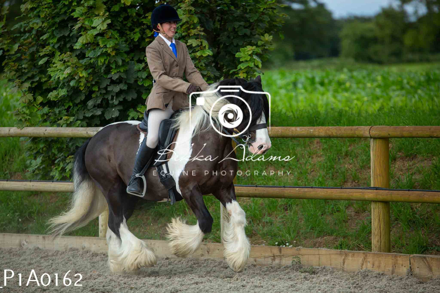 Home Farm Showing - 19th June