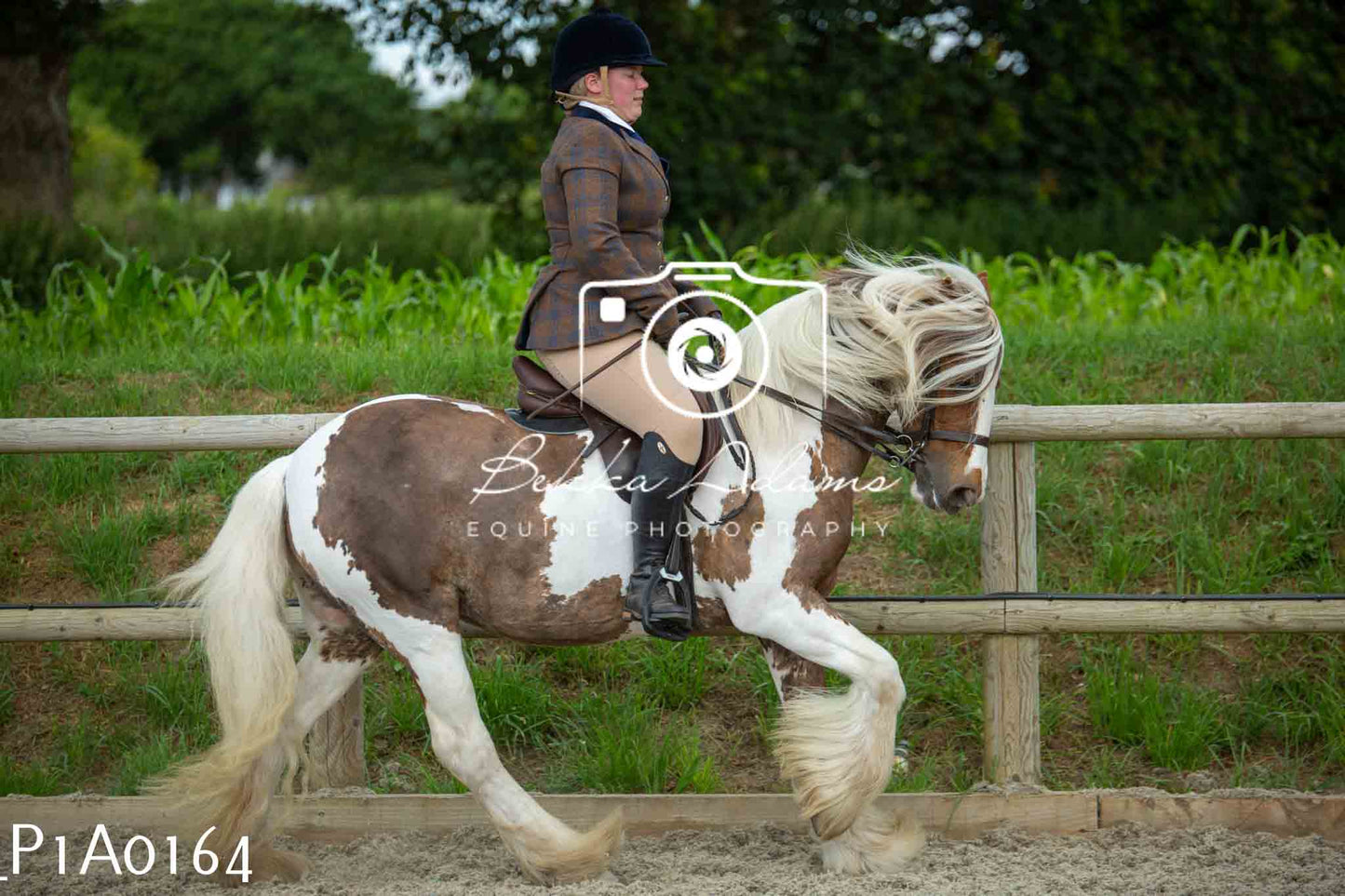 Home Farm Showing - 19th June
