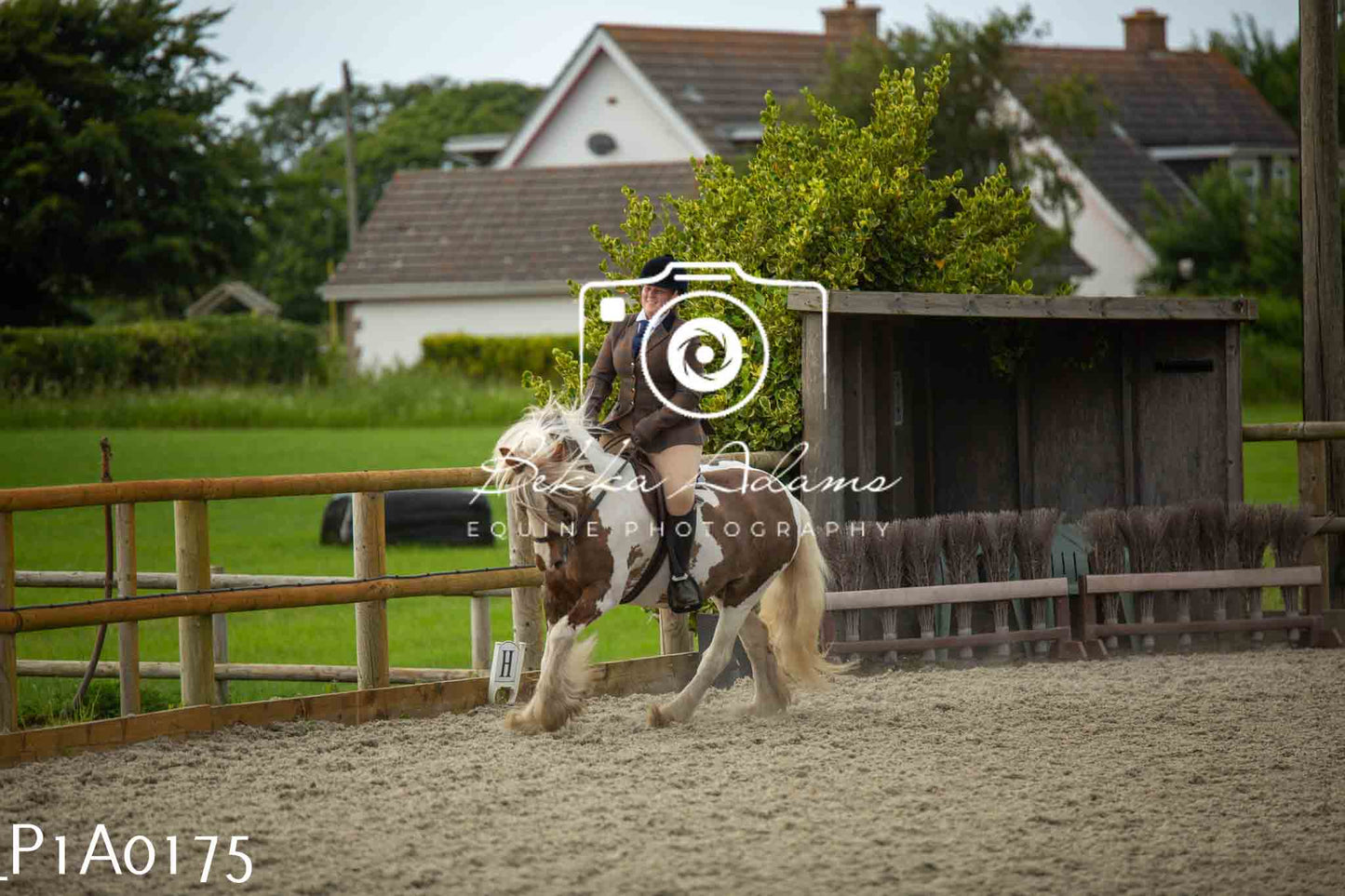 Home Farm Showing - 19th June