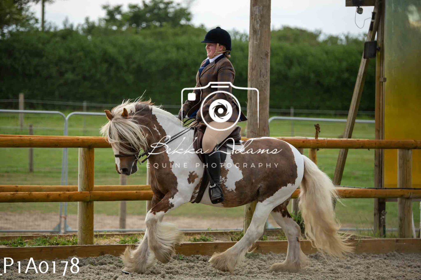 Home Farm Showing - 19th June