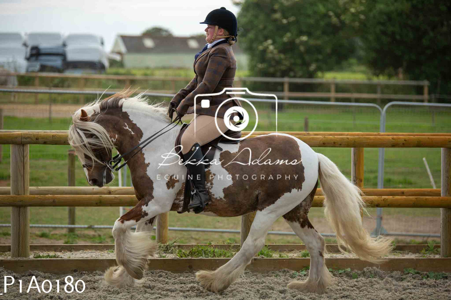Home Farm Showing - 19th June