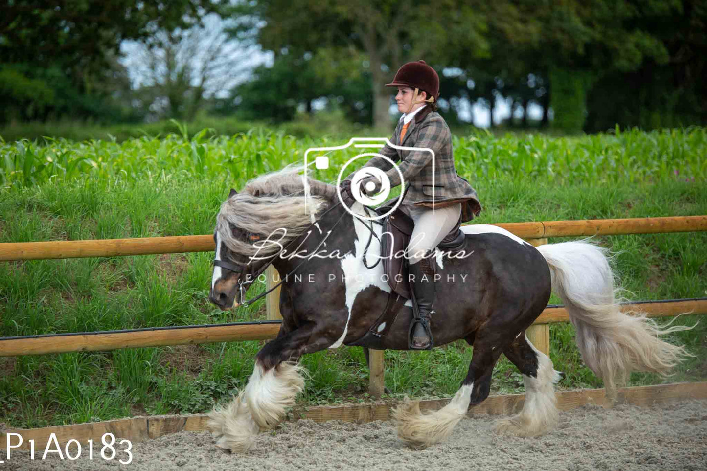 Home Farm Showing - 19th June