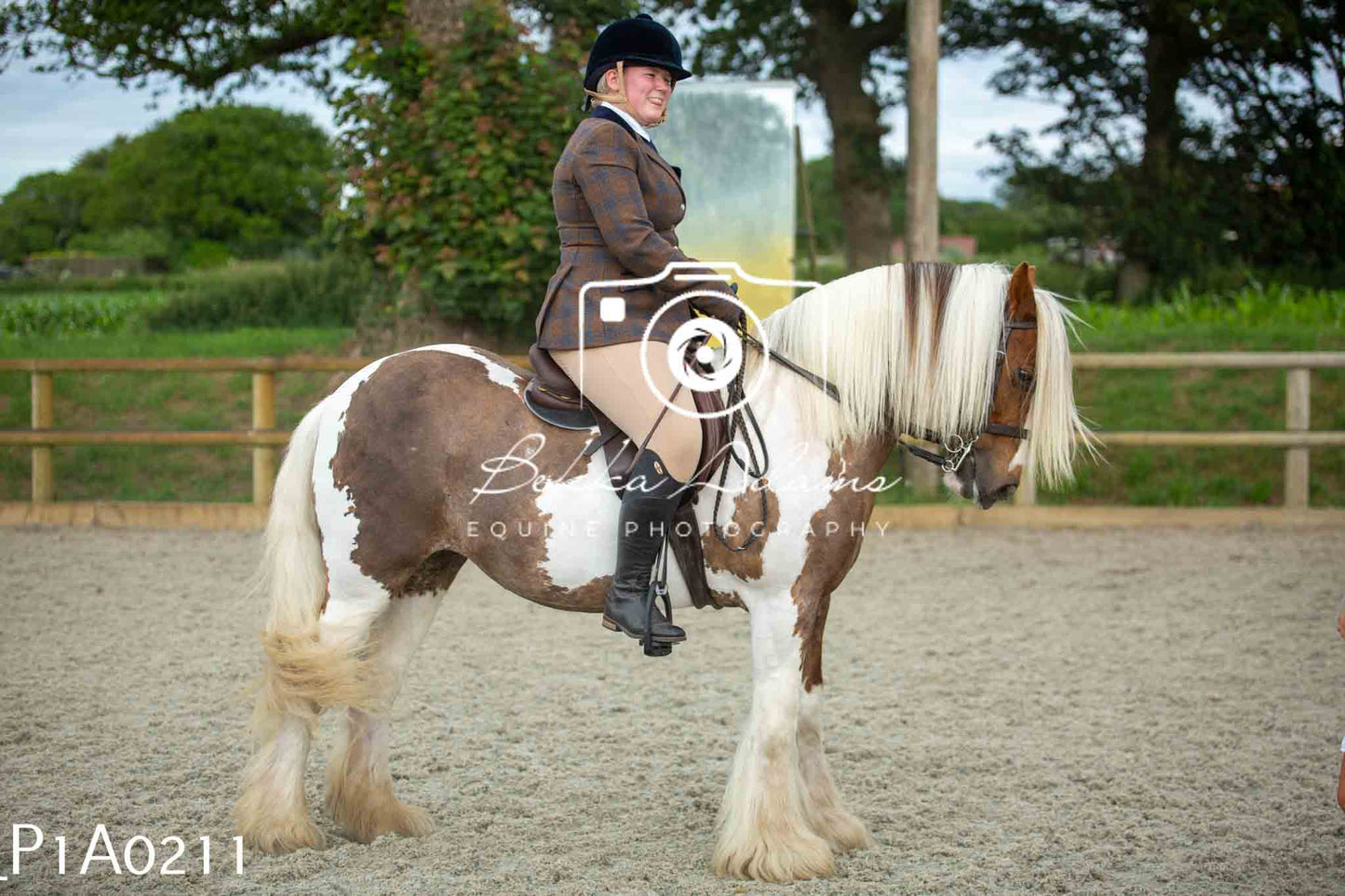 Home Farm Showing - 19th June