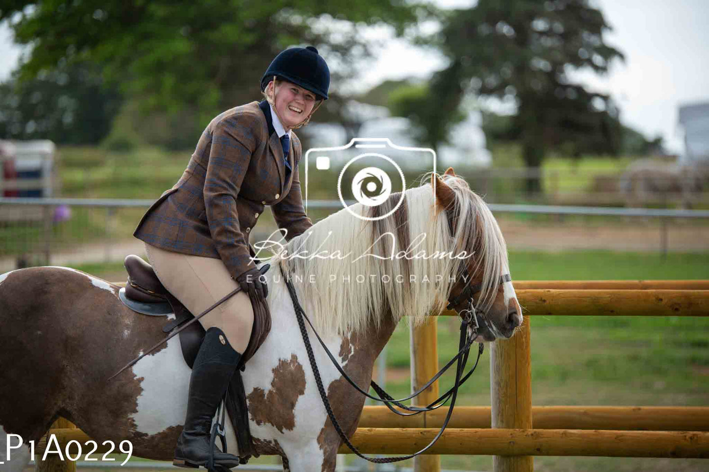 Home Farm Showing - 19th June