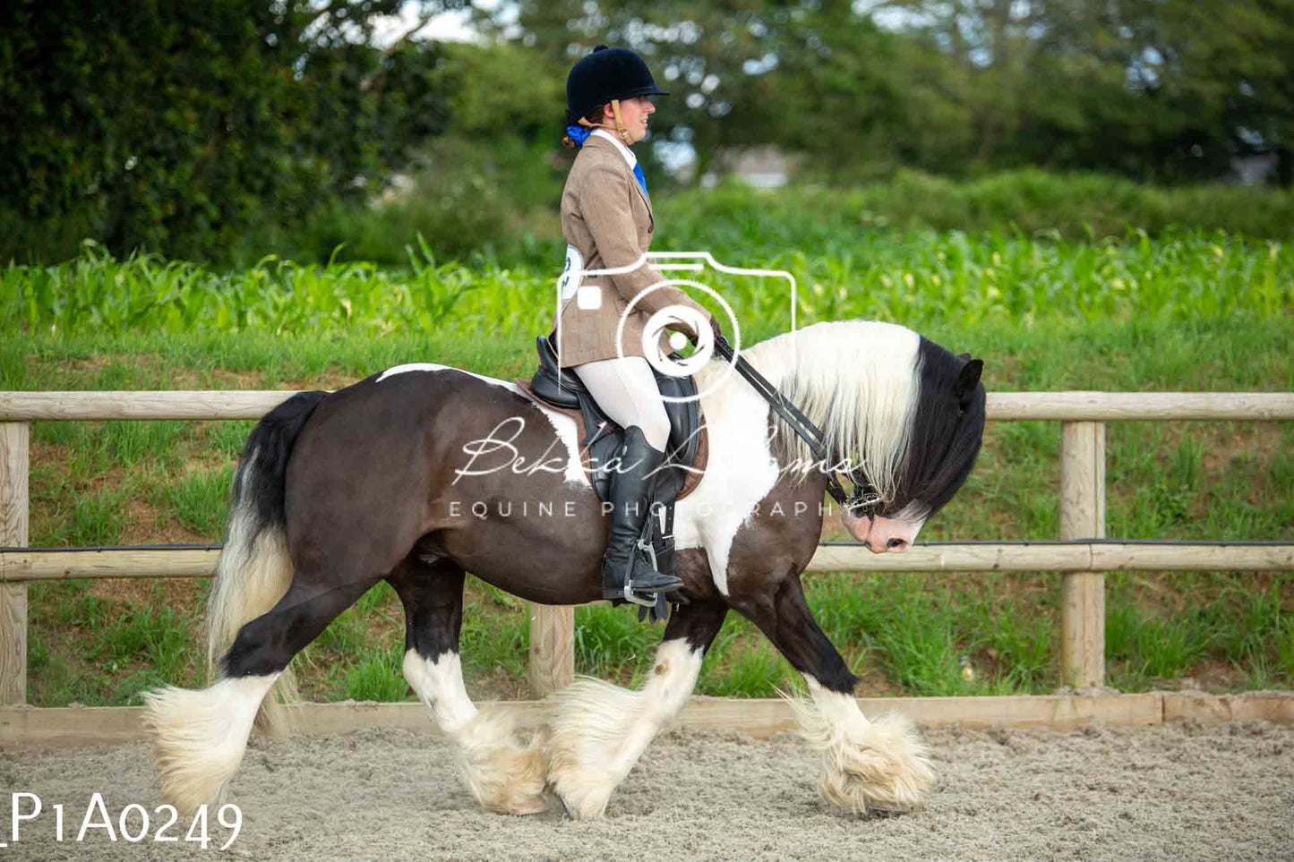 Home Farm Showing - 19th June
