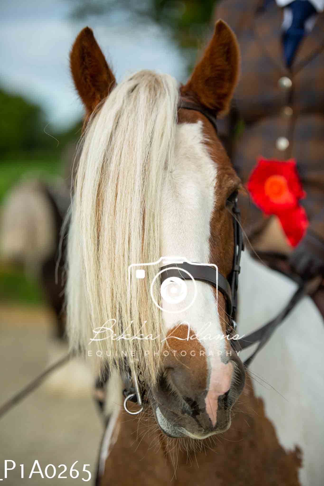 Home Farm Showing - 19th June