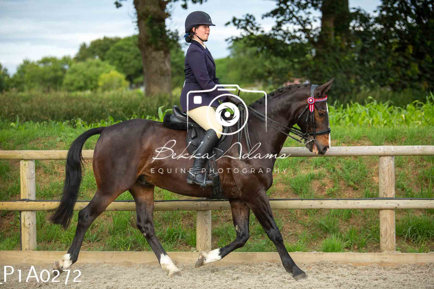 Home Farm Showing - 19th June