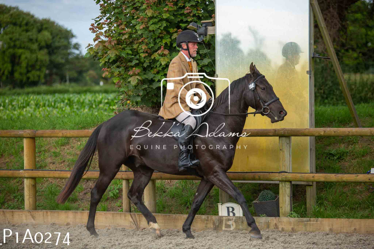 Home Farm Showing - 19th June