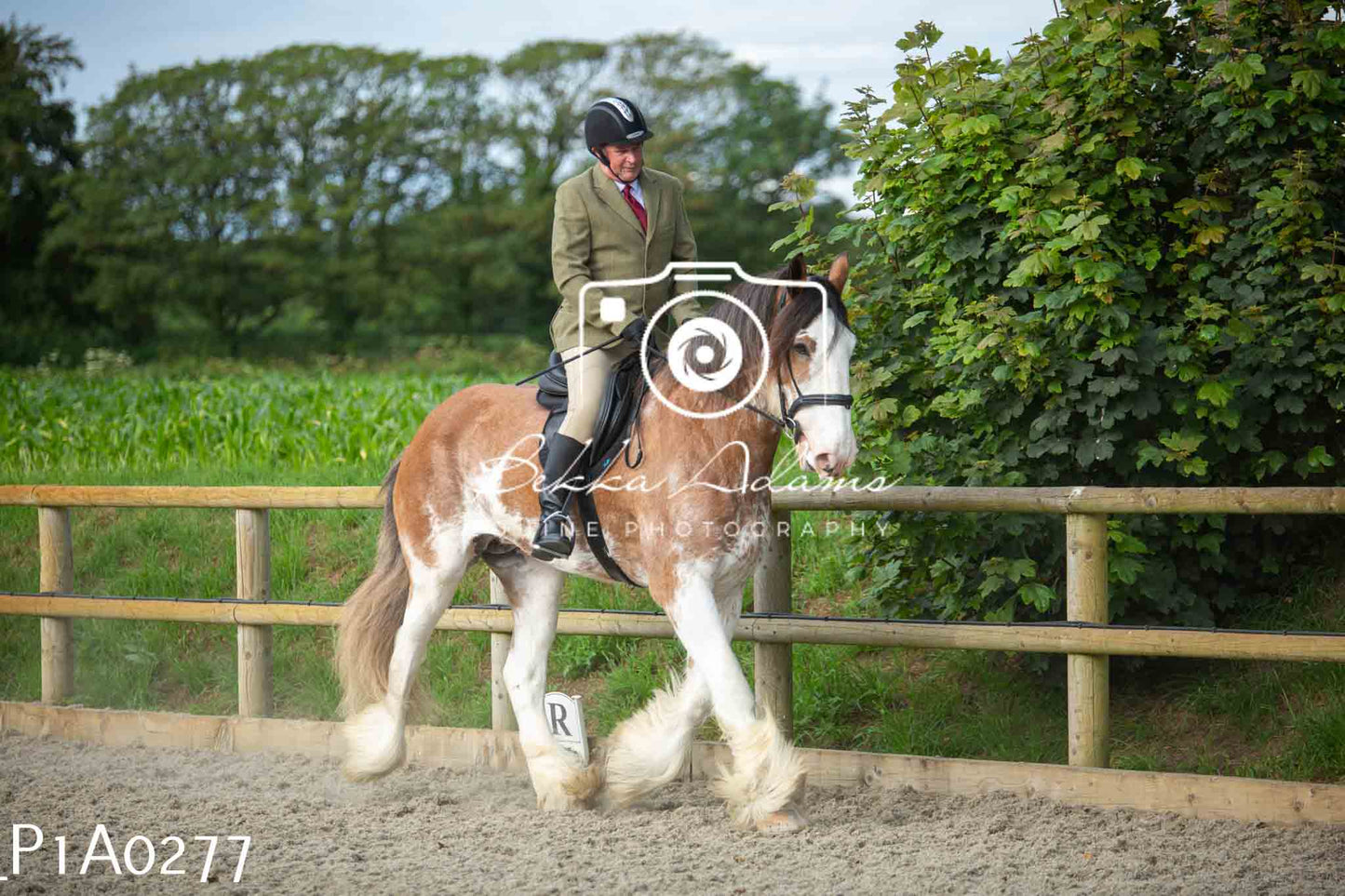 Home Farm Showing - 19th June