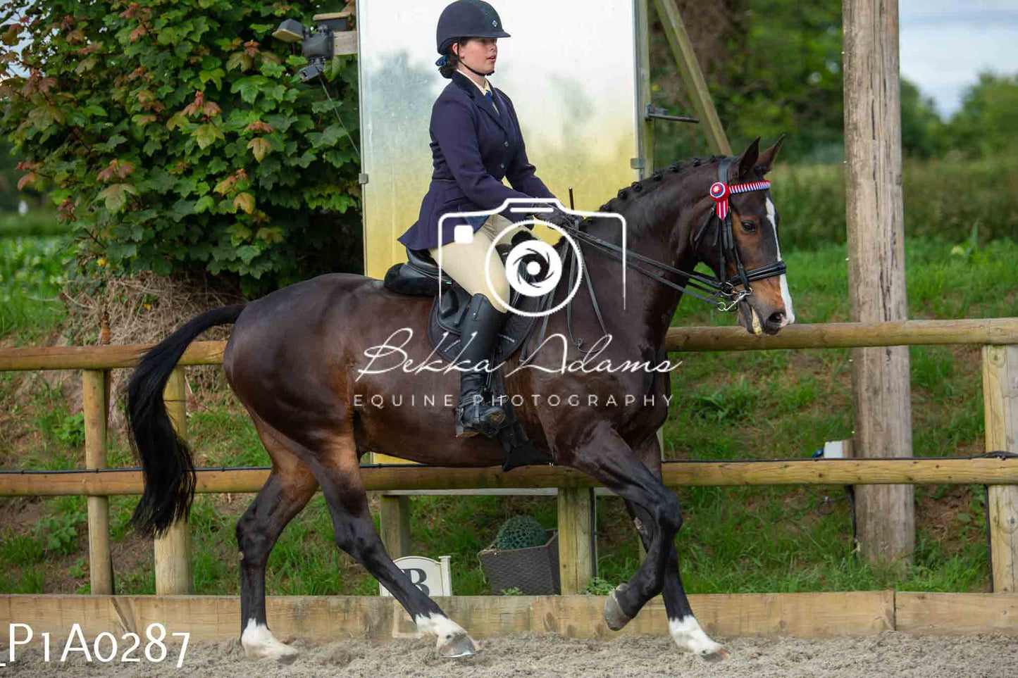 Home Farm Showing - 19th June