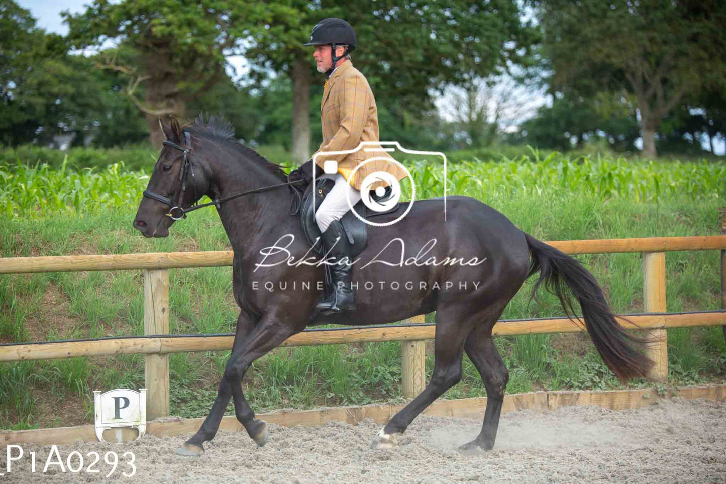 Home Farm Showing - 19th June