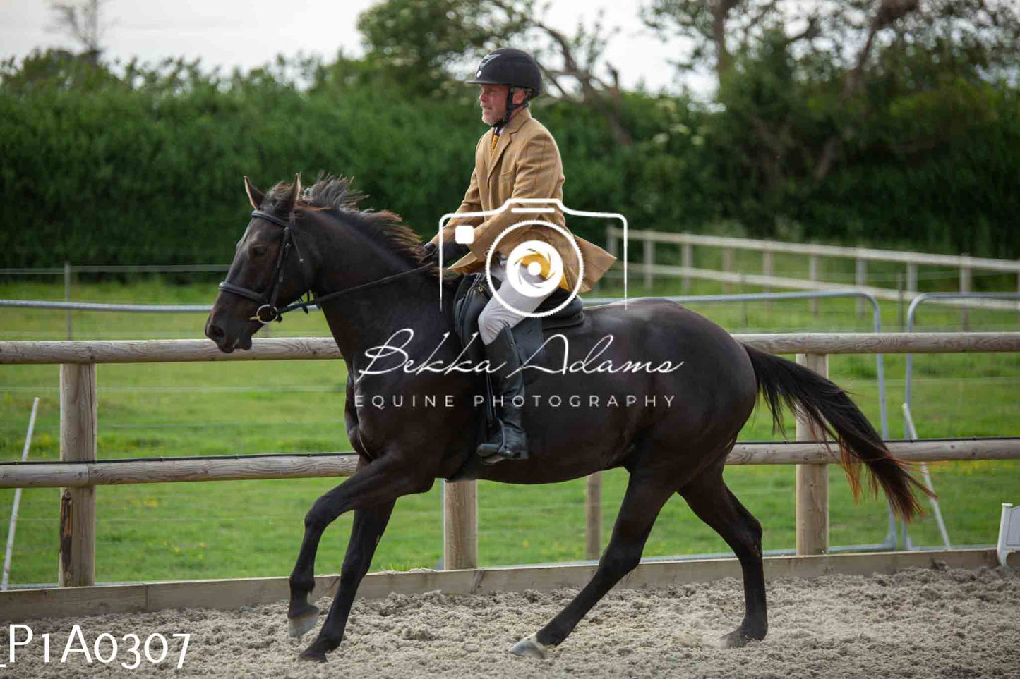 Home Farm Showing - 19th June
