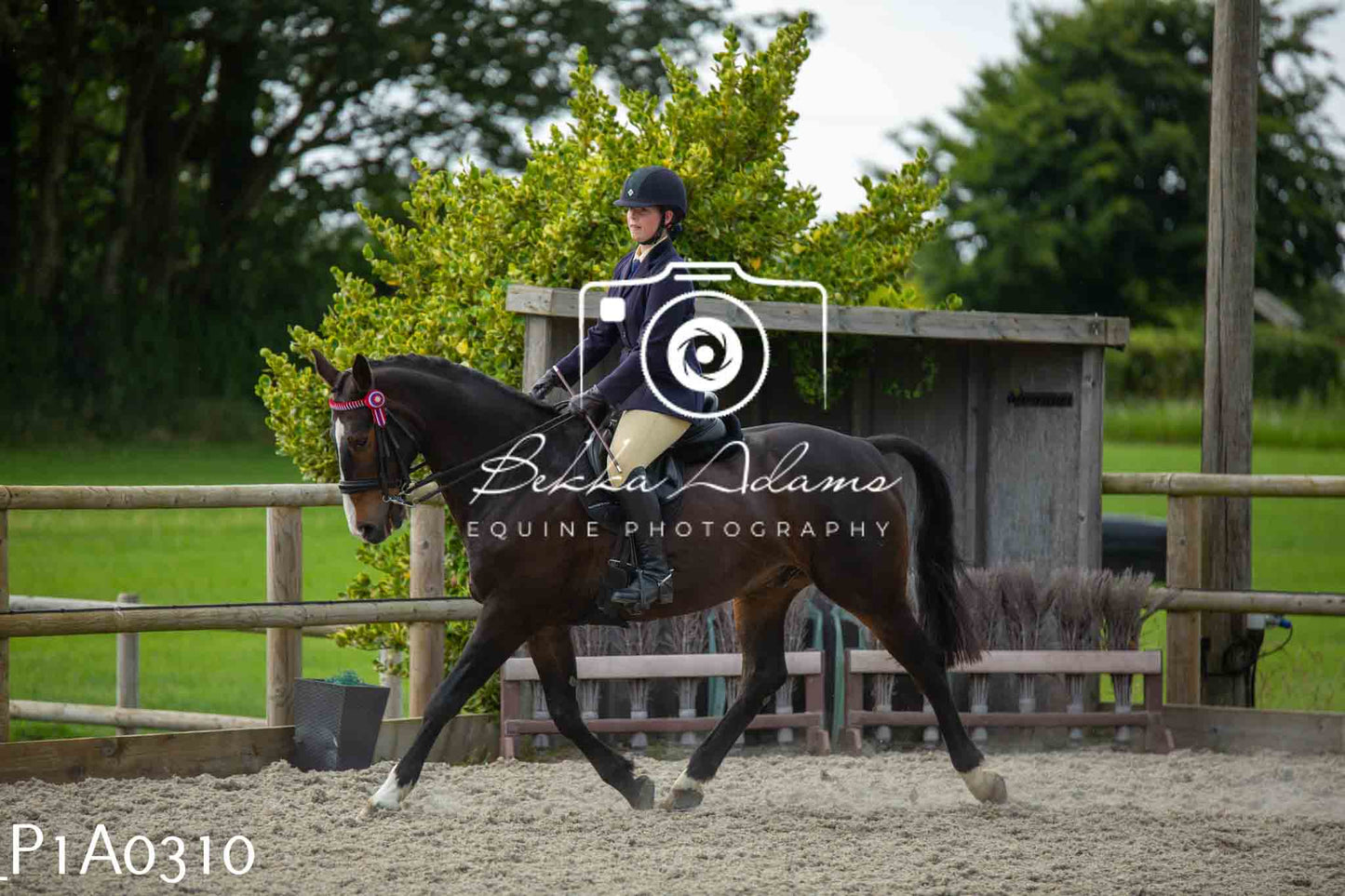 Home Farm Showing - 19th June