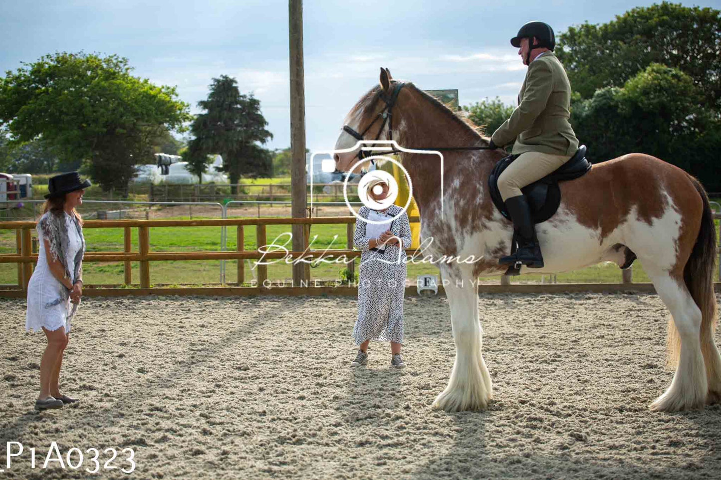 Home Farm Showing - 19th June