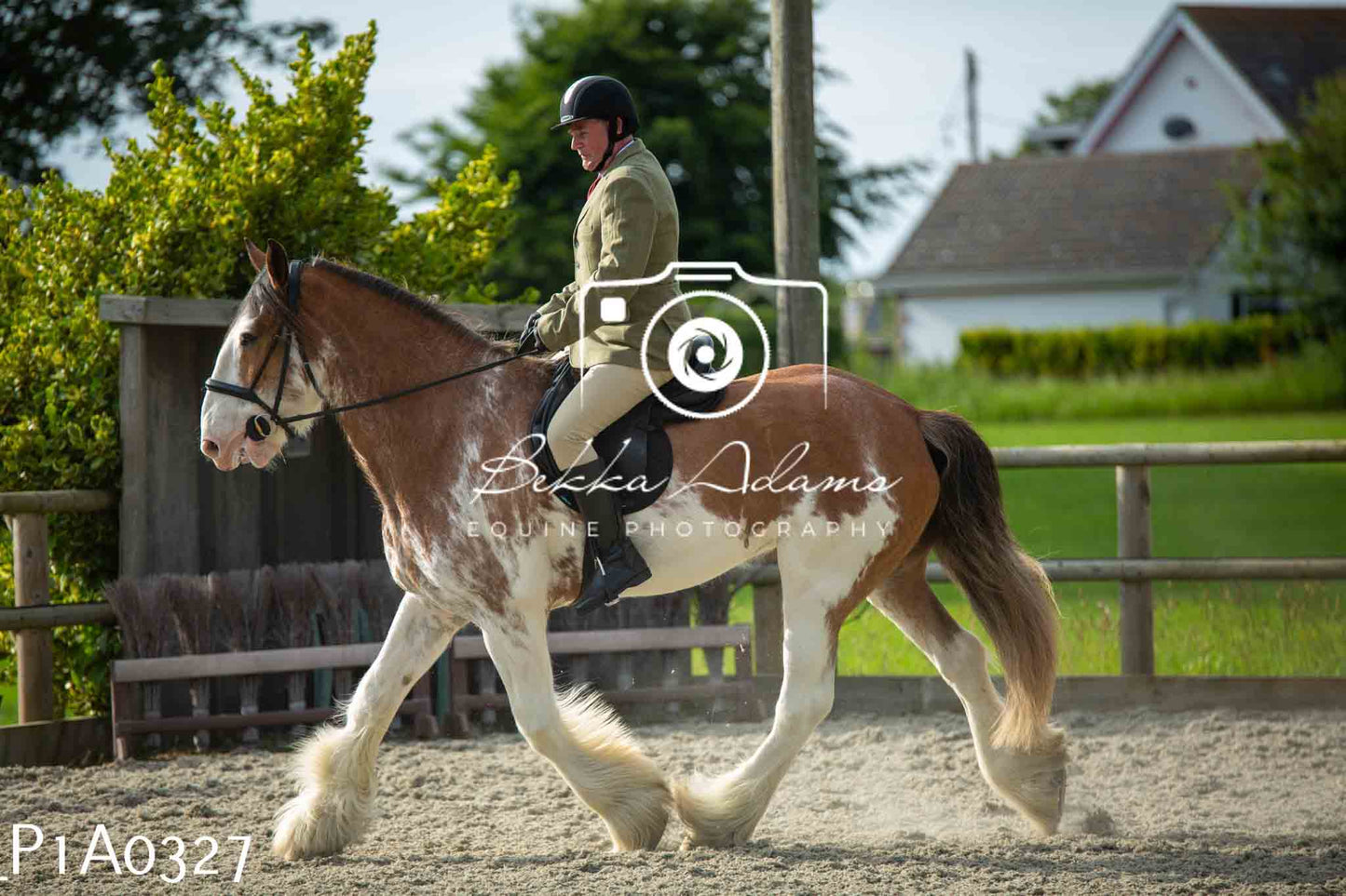 Home Farm Showing - 19th June
