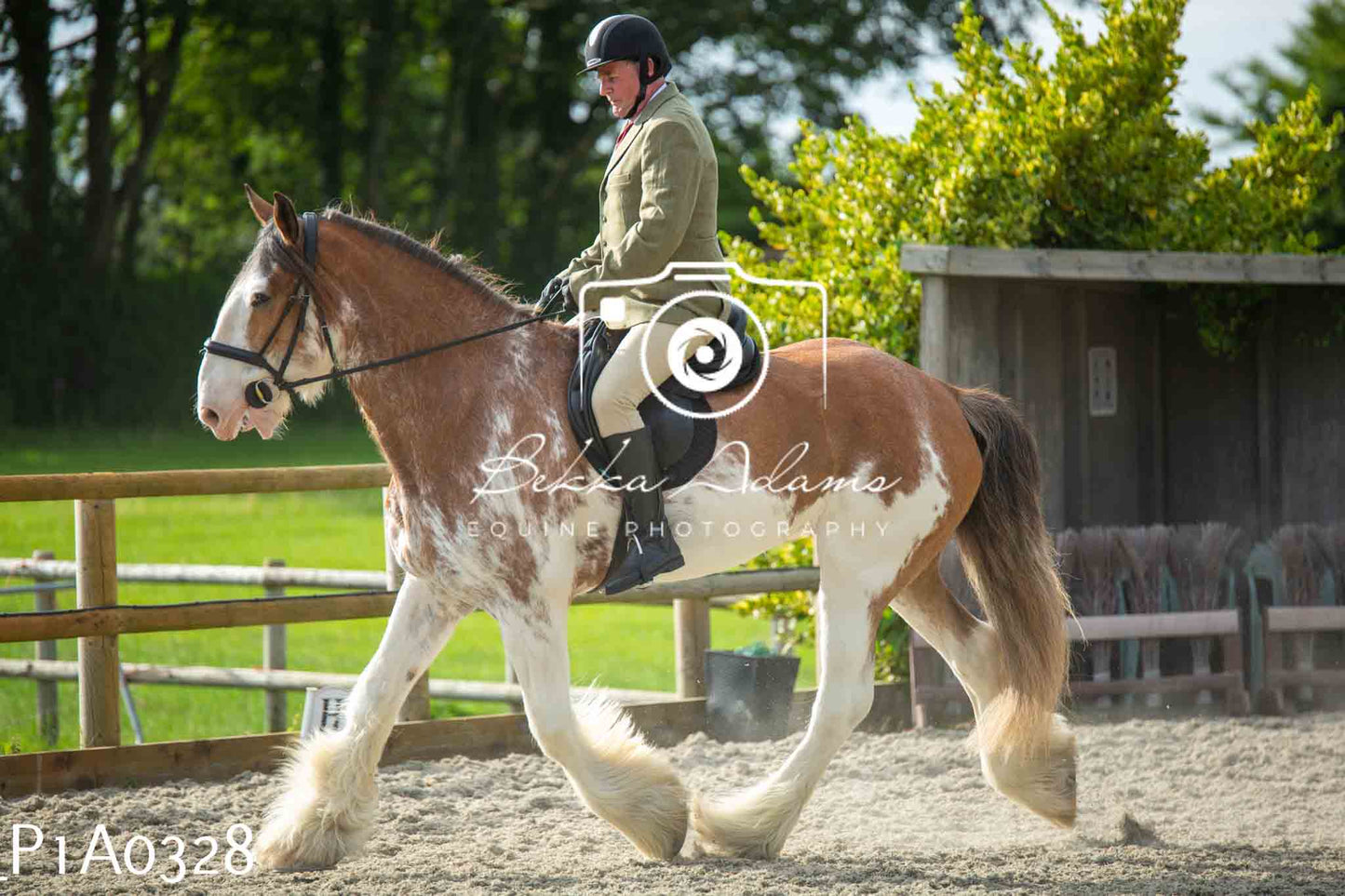 Home Farm Showing - 19th June