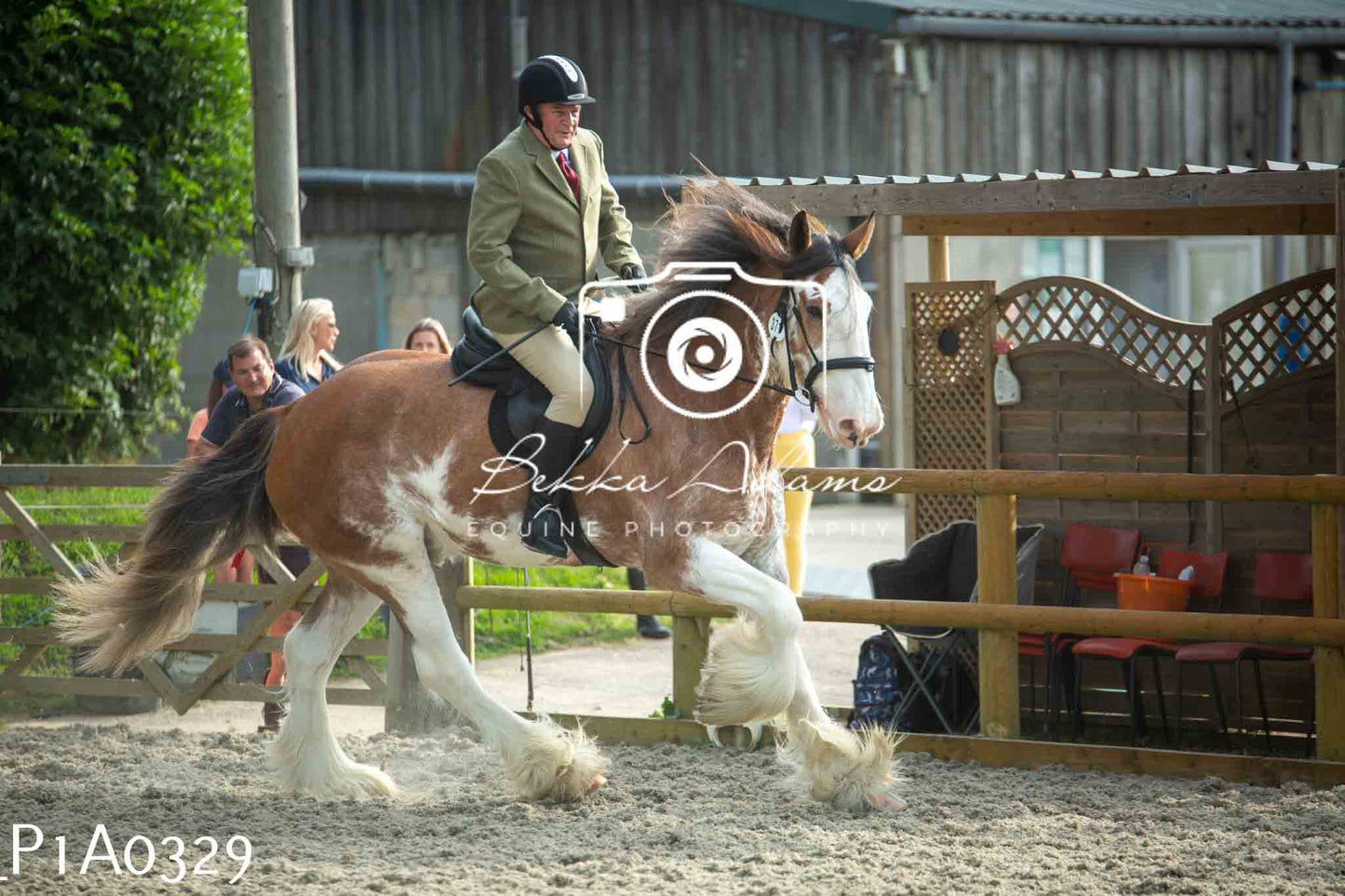 Home Farm Showing - 19th June