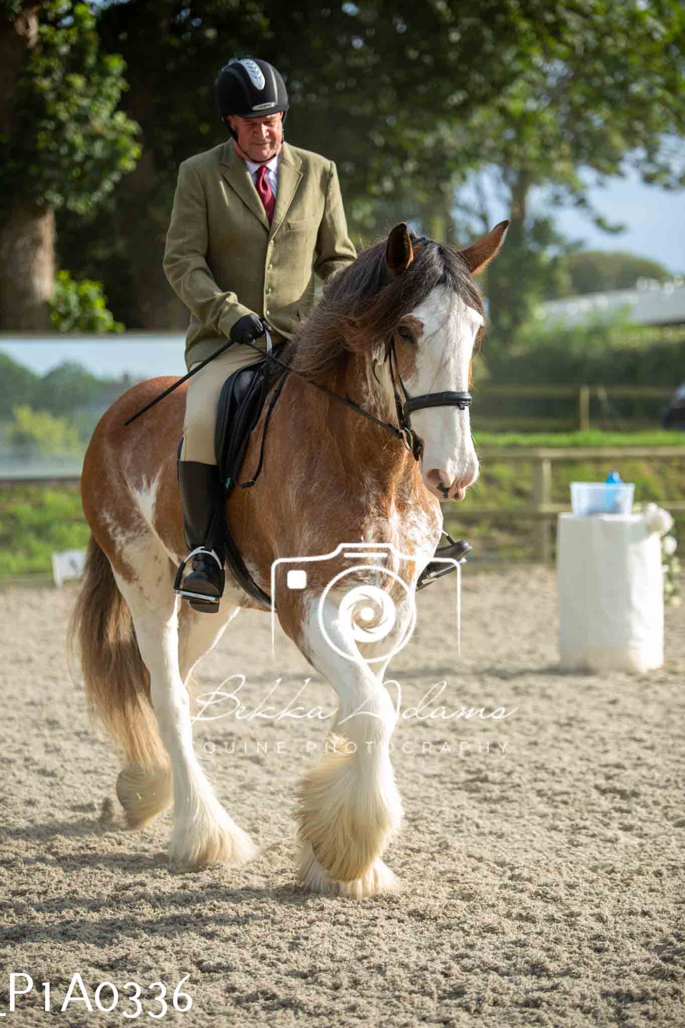Home Farm Showing - 19th June