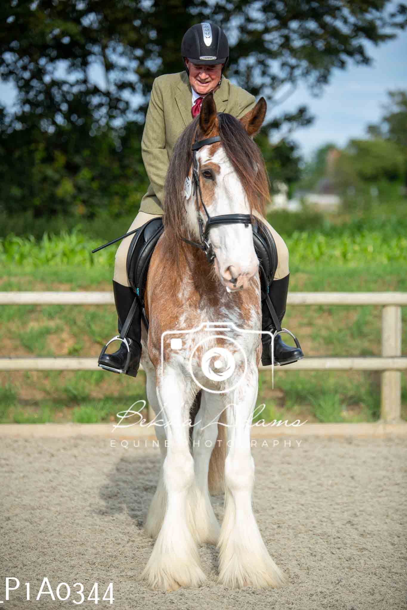 Home Farm Showing - 19th June