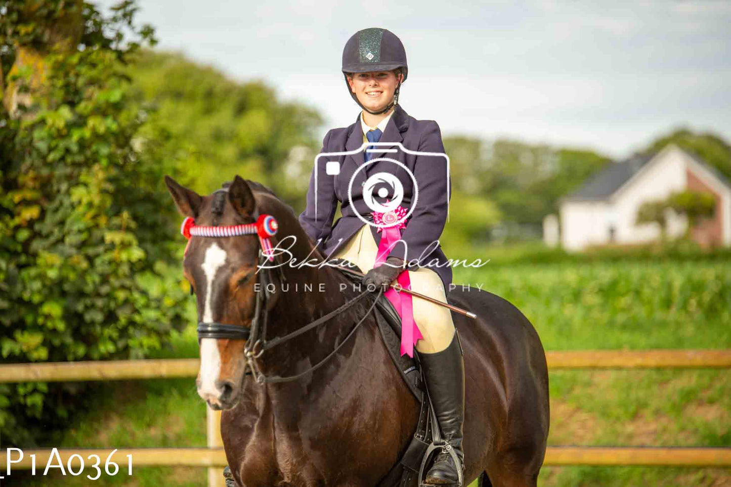 Home Farm Showing - 19th June