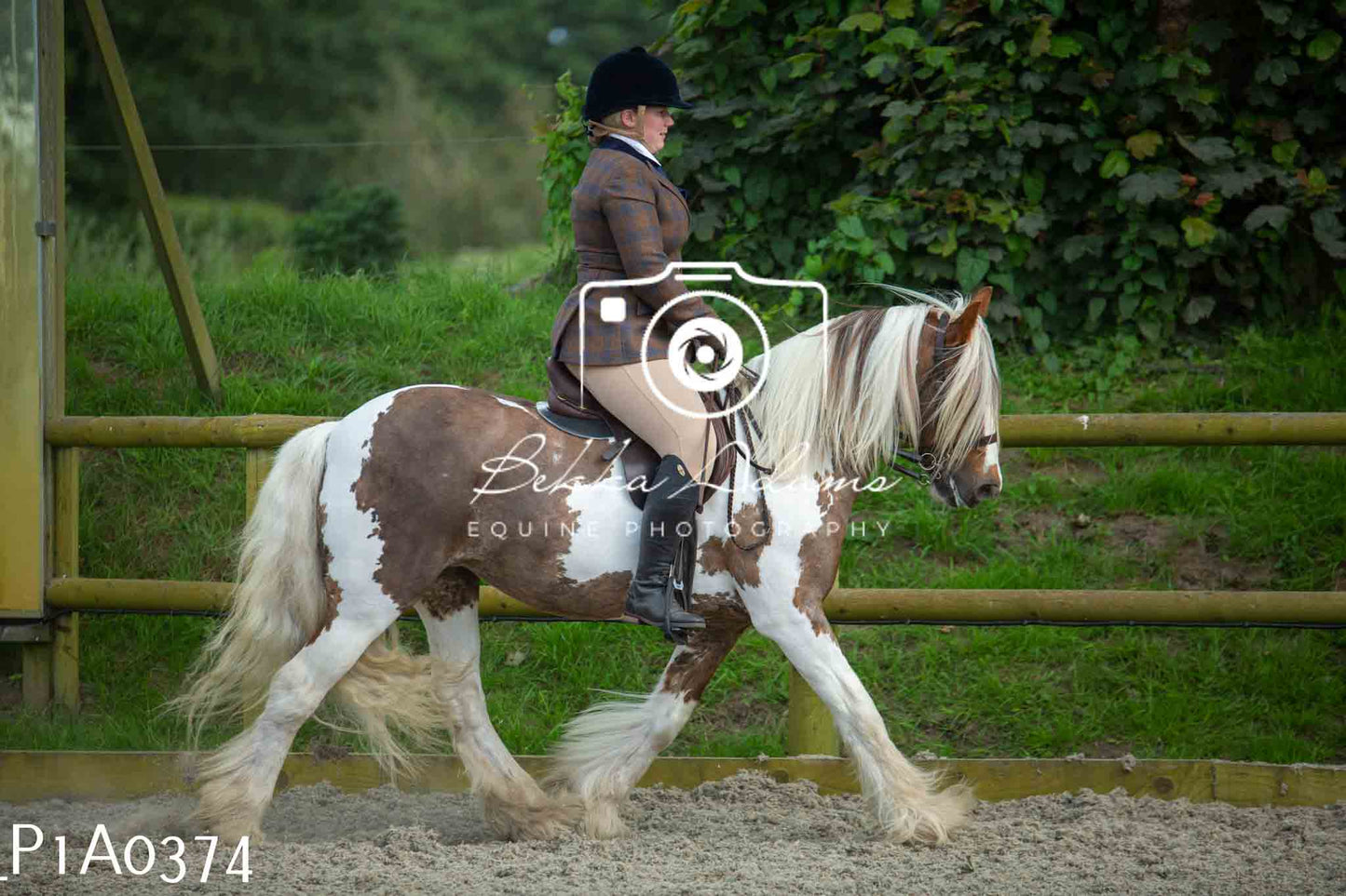 Home Farm Showing - 19th June