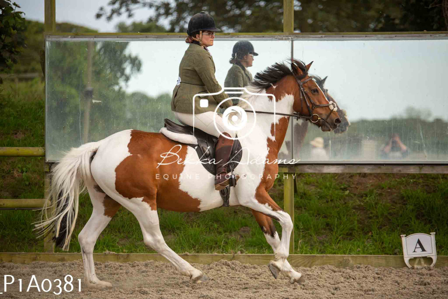 Home Farm Showing - 19th June